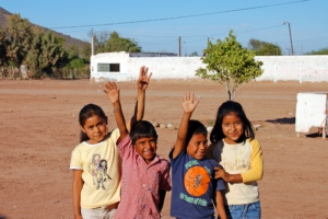 Yaquis, Mayos, Pimes und Guarijios in Mexiko